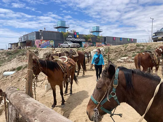 baja tour HorseBack riding 